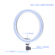 10" LED Ring Light without Tripod/Phone Holder