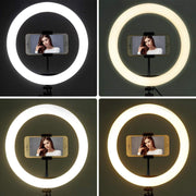 10" LED Ring Light Set